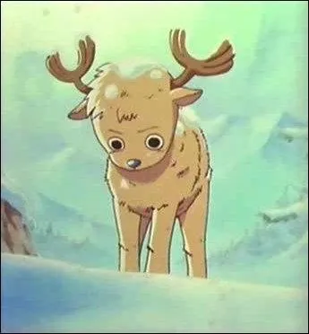 Quel ge avait Chopper  cette poque ?