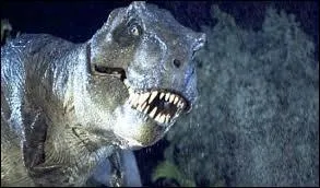 Quel est le titre du film ?