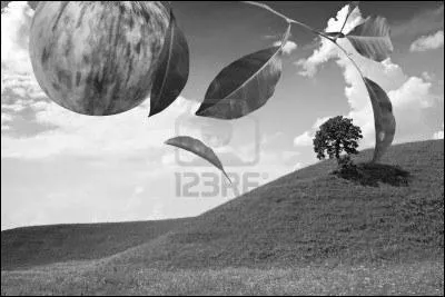 Si vous croyez que les 20 questions du quiz vont tre aussi faciles :