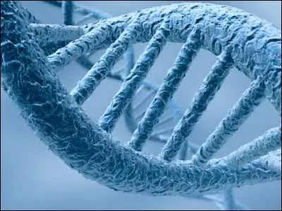 Gntique - Quelle enzyme est implique dans l'extinction pigntique d'un gne ?