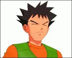 Quel est le type de Pokmon de la premire arne ?