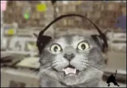 Dans un orchestre, le tam-tam est une sorte de tambour :