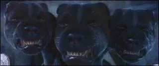 Qui est ce chien  3 ttes ?