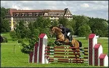 Quel est le nom de cette activit questre ?