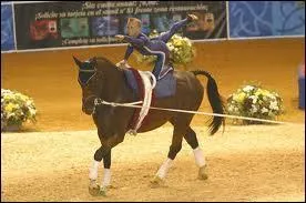 Quel est le nom de cette discipline questre ?