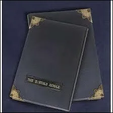 A qui appartient l'ancien journal de Jedusor ?