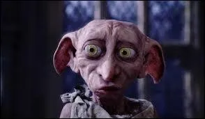 Qui est Dobby ?