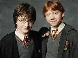 Comment Harry et Ron se sont-ils rendus  l'cole cette anne ?