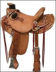 Quel est le nom de cette selle ?
