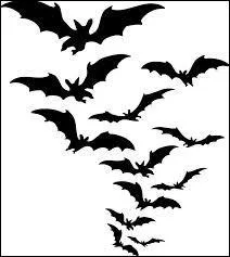 Quels sont ces animaux ?