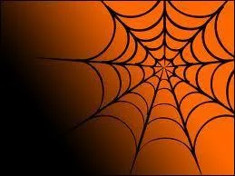 Qu'y a-t-il sur la photo ?