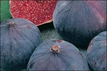 Quel est le nom de cette figue dlicieuse ?