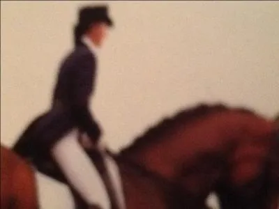 Dans une comptition de dressage, qu'est-ce que la  Kr  ?