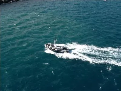 Que mangent les chevaux (normalement) ?