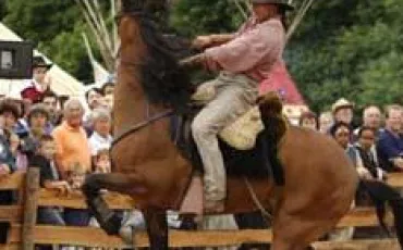 Quiz Galop 2