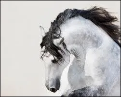 Je suis originaire d'Espagne et je suis trs souple, je suis...