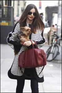 Je suis un yorkshire et je me promne rarement sans ma maman, le top model Miranda Kerr. Quel nom a-t-elle choisi pour moi ?