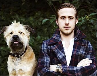Je suis crois ; je suis le chien de Ryan Gosling. Comment celui-ci m'a-t-il nomm ?