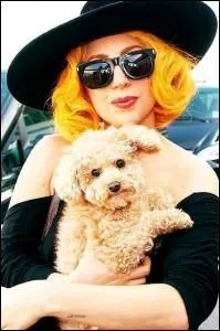 Je suis un caniche crois ; ma matresse n'est autre que la djante star Stefani Germanotta alias Lady Gaga. Quel nom a-t-elle choisi de me donner ?