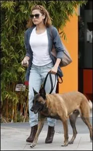Je suis le berger belge de la sublime Eva Mendes. Quel est mon nom ?