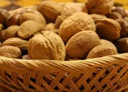 Quiz Des noix