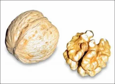 Quel nom n'est pas un nom de noix ?