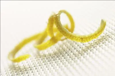 Comment appelle-t-on la sparation qui divise l'intrieur d'une noix ?