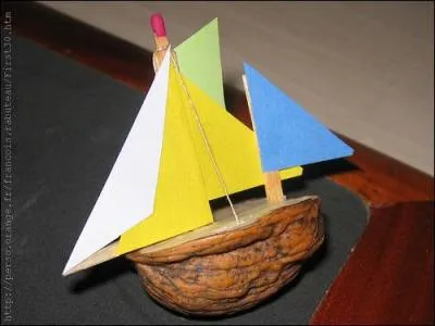 Qu'est-ce qu'une  coquille de noix  ?