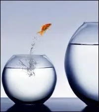 Si vous avez rpondu  En famille , rpondez  cette question (sinon ne rpondez pas ! ) En quelle anne a dbut  En famille  ?