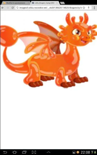 De quel type sont ces dragons :  Dragon gel  ?