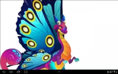 De quel type sont ces dragons :  Dragon papillon  ?