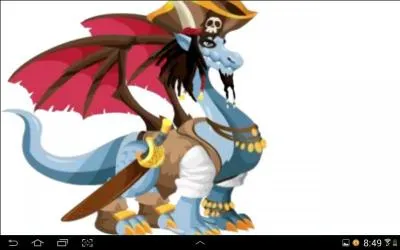 De quel type sont ces dragons :  Dragon pirate  ?