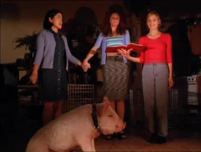 Dans l'pisode  Instinct animal  de quels animaux se servent les amies de Phbe pour les transformer en hommes ?