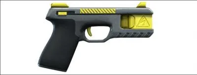 Quelle est cette arme ?