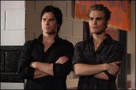 Damon et Stefan sont :
