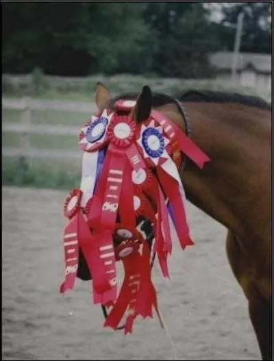 L'hippodrome de Vincennes a t construit au __e sicle.