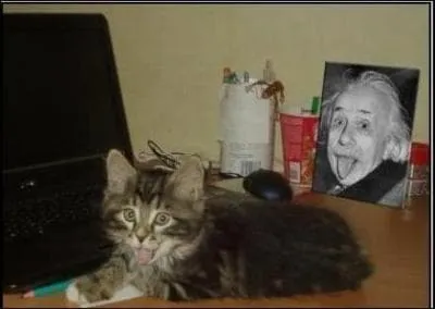 Quelle est la clbre thorie de Albert Einstein ?