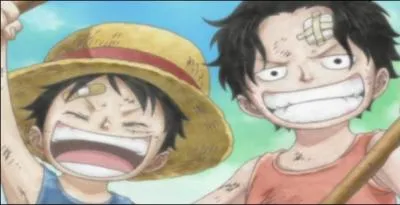 Une dernire question Ace et Luffy sont-ils vraiment frres ?