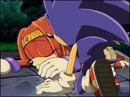 Quelle relation Sonic a-t-il avec Tikal ?