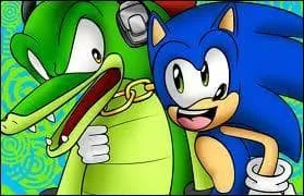 Quelle relation Sonic a-t-il avec Vector ?