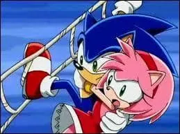 Quelle relation Sonic a-t-il avec Amy ?
