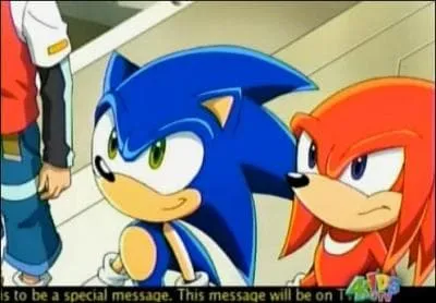 Quelle relation Sonic a-t-il avec Knuckles ?
