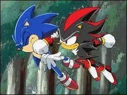 Quelle relation Sonic a-t-il avec Shadow ?