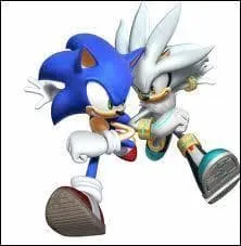 Quelle relation Sonic a-t-il avec Silver ?