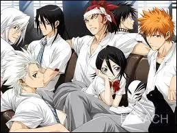 De quel manga font-ils partie ?