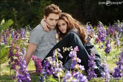 O se passe l'histoire ?