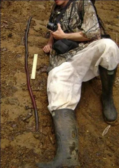 Sur cette photo, on voit un homme allong  ct d'un serpent !