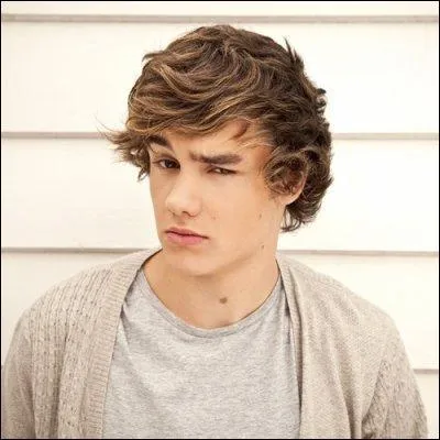 Quelle est la phobie de Liam Payne ?