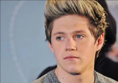 Lors des vidos Diaries, une question est pose, quel rle  jouait  chaque membre du groupe; d'aprs Louis, quel rle  jouait  le jeune homme ?