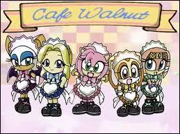 Il y a au moins 5 filles qui ne font pas partie de cette image. Qui sont-elles ?